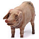 Cochon pour crèche Angela Tripi 18 cm s2