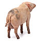 Cochon pour crèche Angela Tripi 18 cm s3