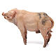 Cochon pour crèche Angela Tripi 18 cm s4