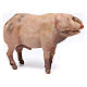 Cochon pour crèche Angela Tripi 18 cm s5