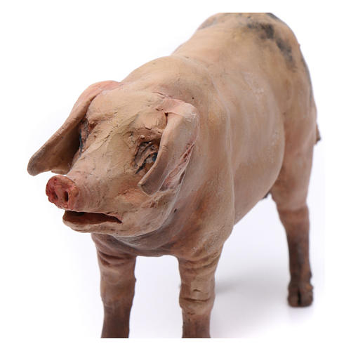 Pig for Nativity Angela Tripi 18 cm 2