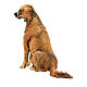 Hund, für 18 cm Krippe von Angela Tripi, Terrakotta s3