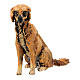 Hund, für 18 cm Krippe von Angela Tripi, Terrakotta s4