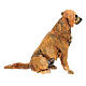 Hund, für 18 cm Krippe von Angela Tripi, Terrakotta s5