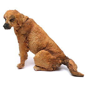 Crèche Noel Angela Tripi: Chien pour crèche Angela Tripi 18 cm
