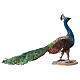 Peacock for nativity scene by Angela Tripi 18 cm s3