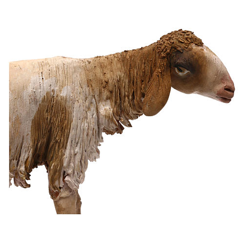 Schaf für 30 cm Krippe von Angela Tripi 2