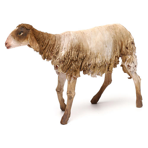 Sheep for nativity scene by Angela Tripi 30 cm 4