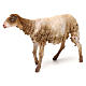 Sheep for nativity scene by Angela Tripi 30 cm s4