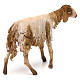 Sheep for nativity scene by Angela Tripi 30 cm s5