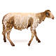 Mouton pour crèche Angela Tripi 30 cm s1