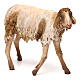 Mouton pour crèche Angela Tripi 30 cm s3