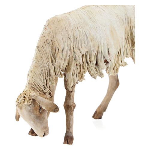 Pecorella per presepe Angela Tripi 30 cm 2