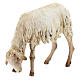 Pecorella per presepe Angela Tripi 30 cm s4