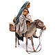 Escape to Egypt, Scene 30 cm Tripi Nativity s6
