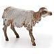 Sheep in terracotta 18 cm for Angela Tripi Nativity Scene s2