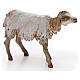 Sheep figurine for Nativity Angela Tripi 18 cm s2