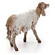 Sheep figurine for Nativity Angela Tripi 18 cm s3