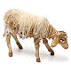 Kauerndes Schaf aus Terrakotta für 18 cm Krippe von Angela Trippi s2