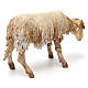 Kauerndes Schaf aus Terrakotta für 18 cm Krippe von Angela Trippi s3