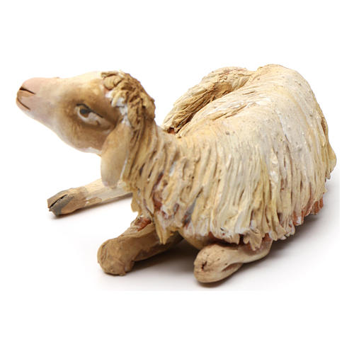 Sheep in terracotta 18 cm for Angela Tripi Nativity Scene 3