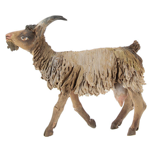 Standing goat in terracotta 13 cm for Angela Tripi Nativity Scene 1
