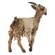 Standing goat in terracotta 13 cm for Angela Tripi Nativity Scene s4