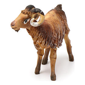 Pesebre Angela Tripi: Cabra de pie para belén cm 13 de altura media Angela Tripi Pesebre Angela Tripi: Cabra de pie para belén cm 13 de altura media Angela Tripi