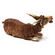 Goat in terracotta 18 cm for Angela Tripi Nativity Scene s2