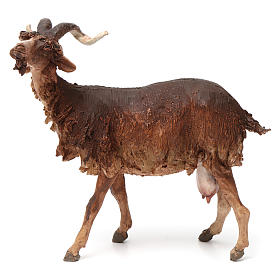 Pesebre Angela Tripi: Cabra de pie 30 cm de altura media belén Angela Tripi Pesebre Angela Tripi: Cabra de pie 30 cm de altura media belén Angela Tripi