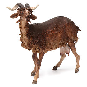 Presepe Angela Tripi: Capra in piedi 30 cm presepe Angela Tripi