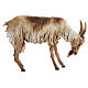 Capra in piedi 30 cm presepe Angela Tripi s1