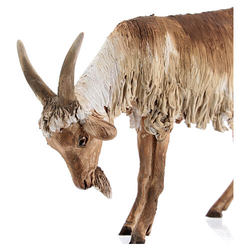 Koza stojąca 30 cm szopka Angela Tripi 2