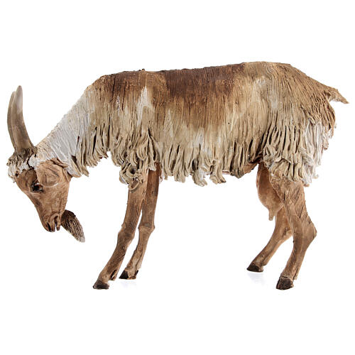 Koza stojąca 30 cm szopka Angela Tripi 3
