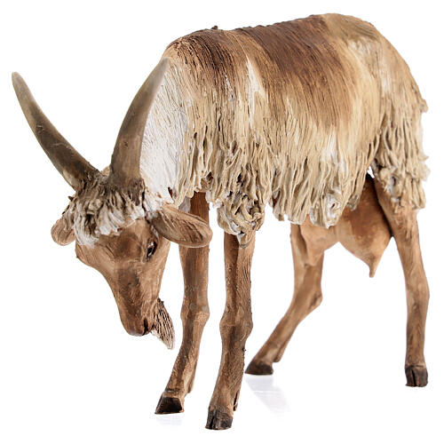 Koza stojąca 30 cm szopka Angela Tripi 4