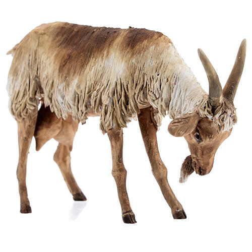 Koza stojąca 30 cm szopka Angela Tripi 5