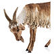 Koza stojąca 30 cm szopka Angela Tripi s2