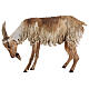 Koza stojąca 30 cm szopka Angela Tripi s3