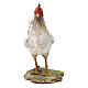 White chicken for Nativity Angela Tripi 30 cm s4