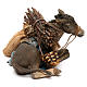Nativity Scene figurine Sitting donkey, Angela Tripi 13 cm s4