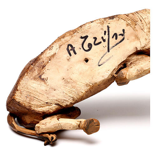 Brown ox resting, 18 cm in terracotta Tripi 5