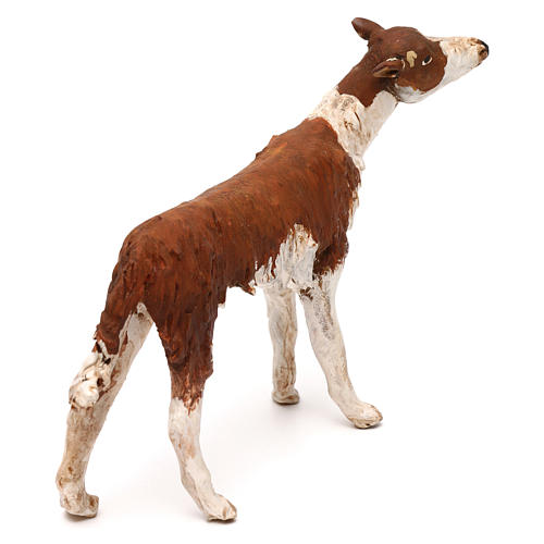 Nativity dog, 18 cm Angela Tripi 4