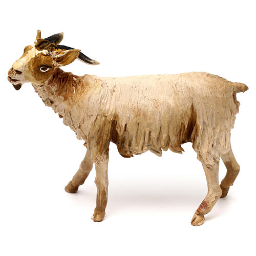 Goat standing, 18 cm Angela Tripi, in terracotta 1