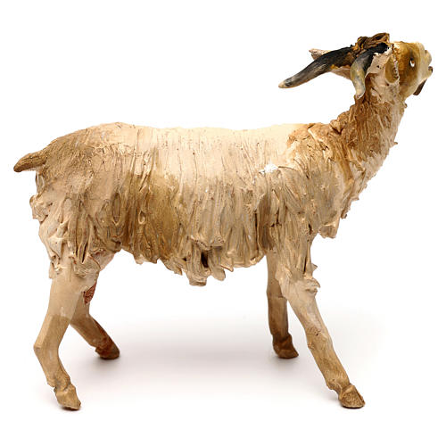 Goat standing, 18 cm Angela Tripi, in terracotta 3