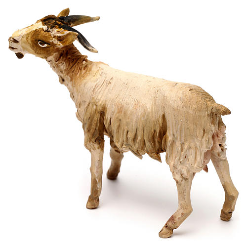 Goat standing, 18 cm Angela Tripi, in terracotta 4
