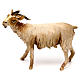 Goat standing, 18 cm Angela Tripi, in terracotta s1