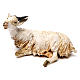 Goat resting, 18 cm Angela Tripi, in terracotta s1