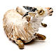 Goat resting, 18 cm Angela Tripi, in terracotta s2