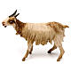 Nativity Scene figurine Standing goat, Angela Tripi 18 cm s1