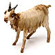 Nativity Scene figurine Standing goat, Angela Tripi 18 cm s2